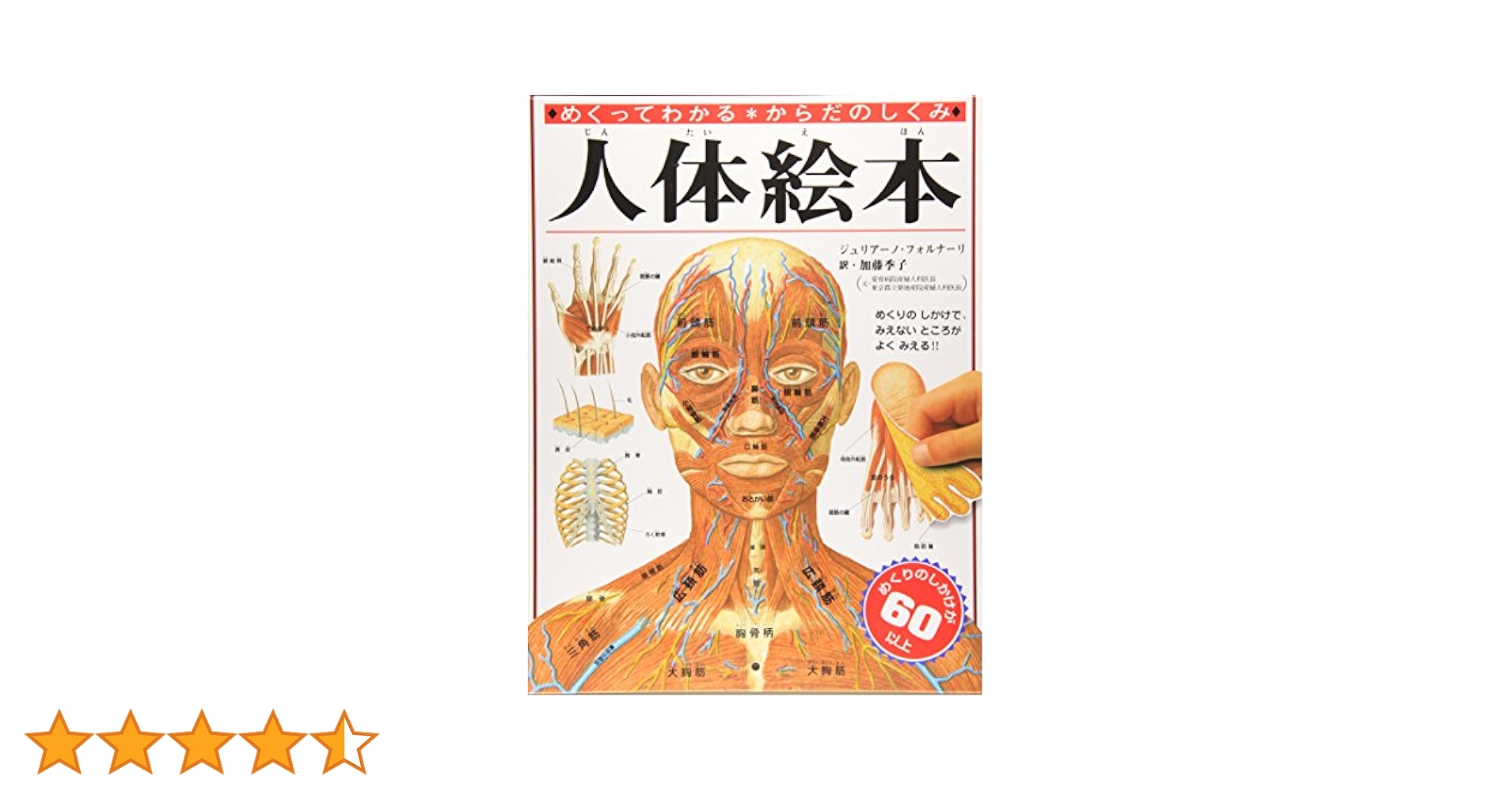 【廃盤品】美品✨人体絵本 : めくってわかるからだのしくみ 人体絵本: めくってわかる・からだのしくみ | ジュリアーノ